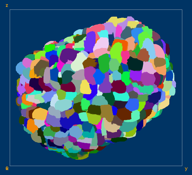 4D cell segmentation of organoid